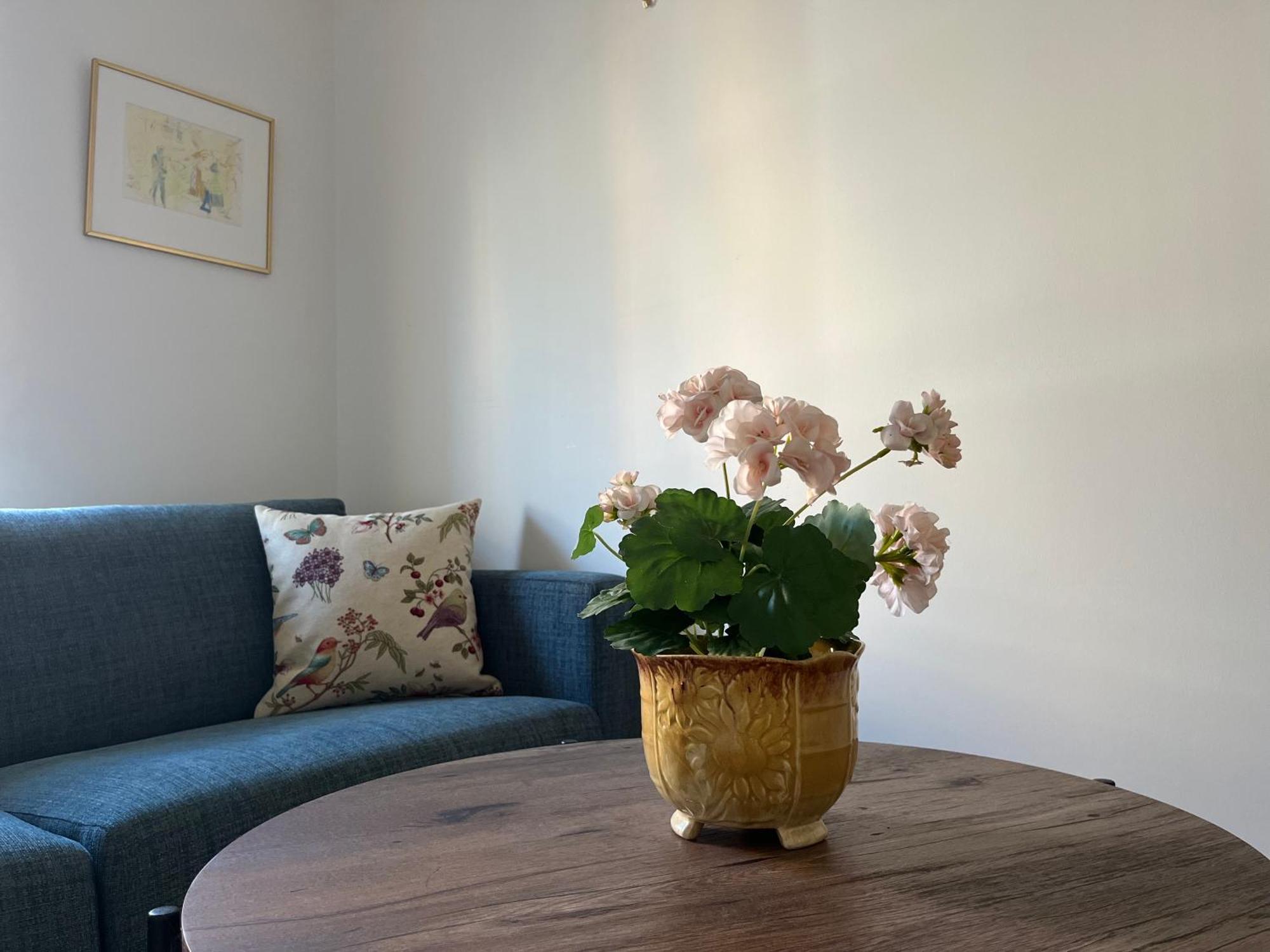 Ahusbrygga Apartment Hotel Dış mekan fotoğraf